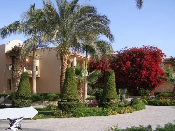 Westgate Resorts timeshare ownership dream vacation or buyer’s regret